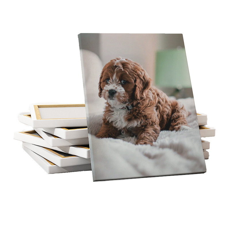 Best Personalized Canvas Prints