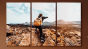 Canvas Prints