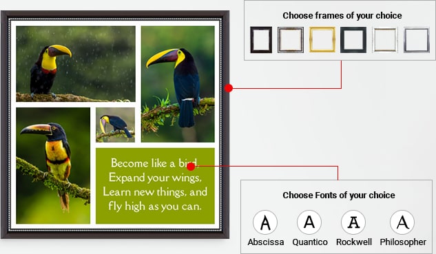 Choose frames of your choice