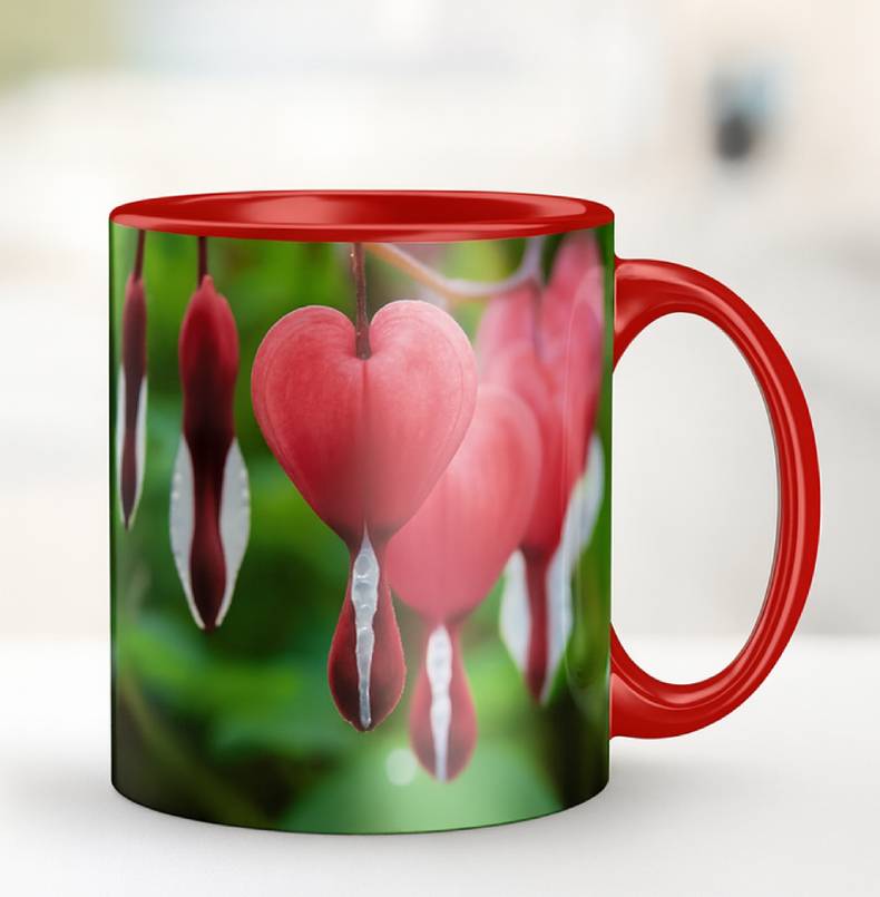 Red Photo Mug